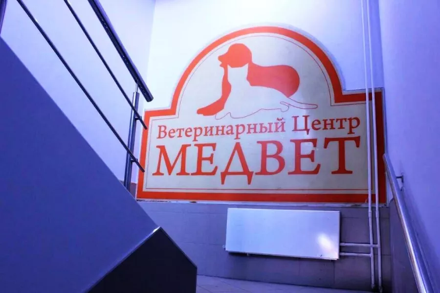 Ветклиника ВЦ Медвет в Москве: Зоомагазин, Животные,