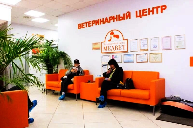 Ветклиника ВЦ Медвет в Москве: Зоомагазин, Животные,