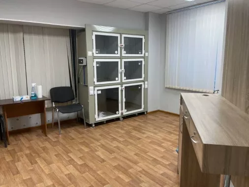 Название: Ветклиника "Триовет". 