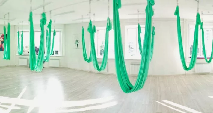 Студия умного фитнеса и аэрофитнеса "Just Fit"