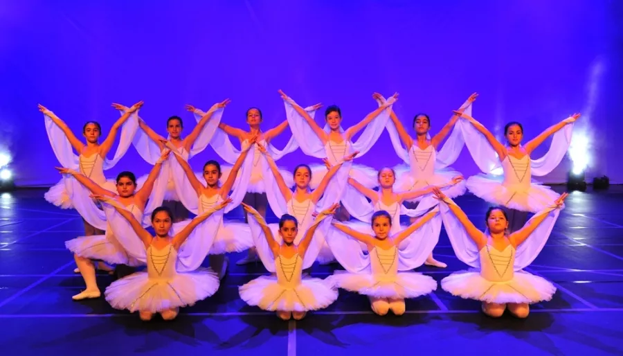 Школа танцев Mavidans Ballet and Dance Center в Стамбуле: Школа , Танцы, Хореография ,