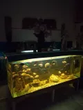 Миниатюра 9