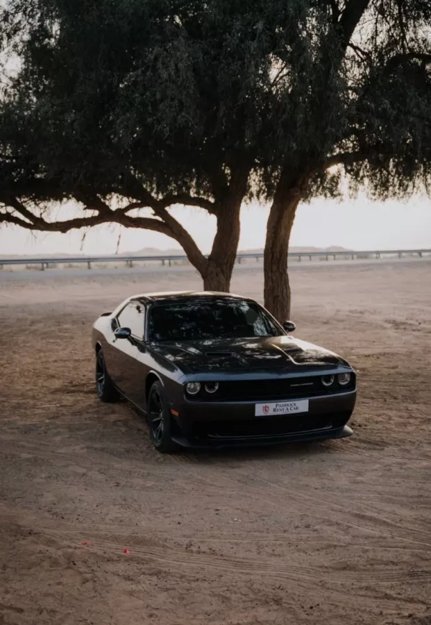 Прокат авто Vip Auto Rent в Дубаи: Прокат авто, Аренда авто, Автолюбителям, Автомобили, Каршеринг, Люксовые авто, VIP авто,