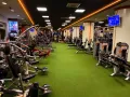 Миниатюра 5