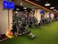 Миниатюра 6