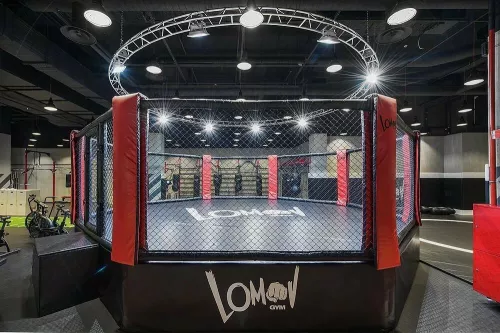 Фитнес клуб Lomov Gym в Москве
