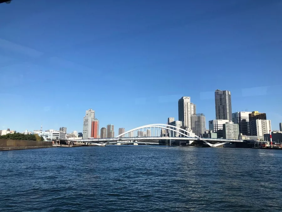 Круиз - Tokyo Cruise (Sumida River) в Токио: Лодочные туры, Экскурсия по воде, Река, Бар,