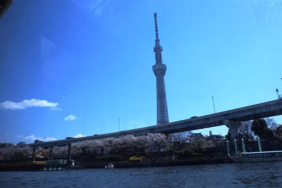 Круиз - Tokyo Cruise (Sumida River) в Токио: Лодочные туры, Экскурсия по воде, Река, Бар,