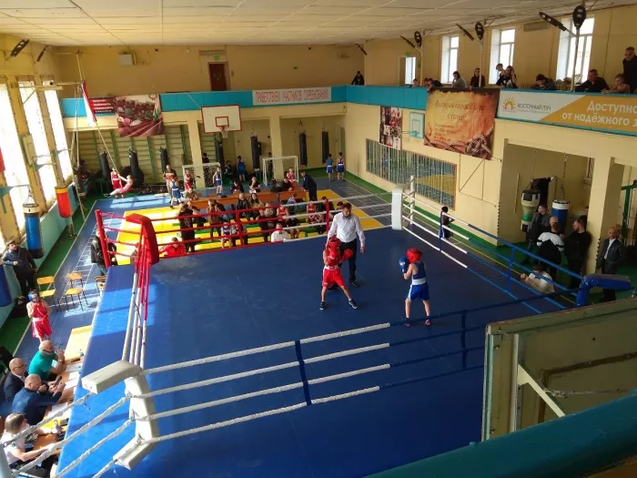 Секция бокса  "Надежды ринга"