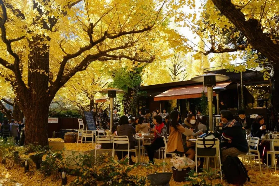 Парк - Meiji jingu Gaien в Токио: Парк, Прогулки, Достопремечательности,