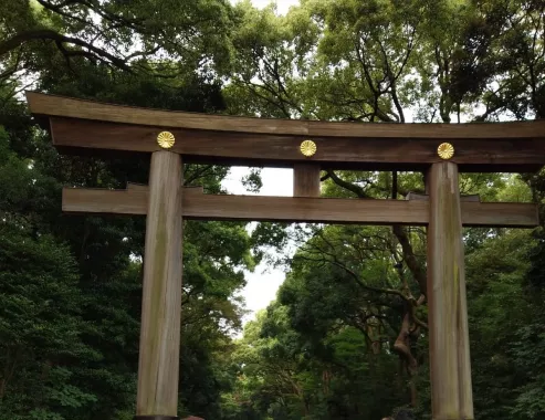 Парк - "Meiji jingu Gaien"