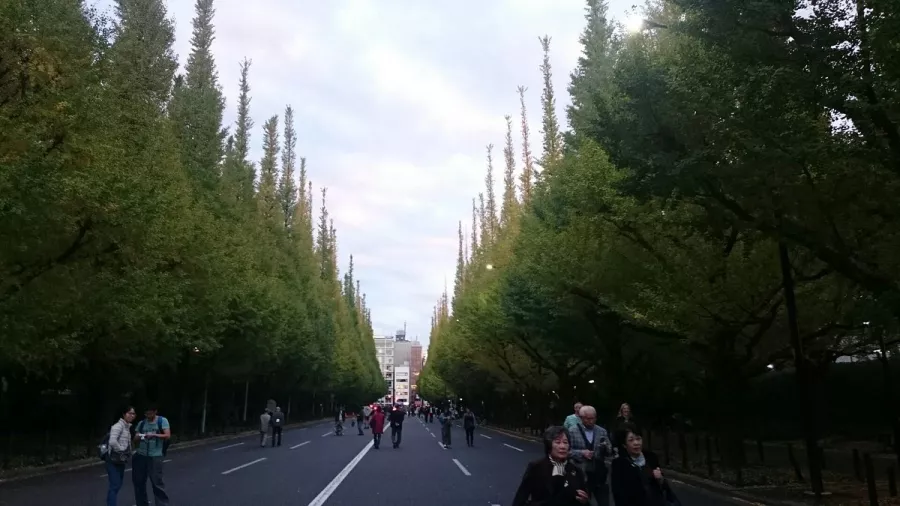 Парк - Meiji jingu Gaien в Токио: Парк, Прогулки, Достопремечательности,
