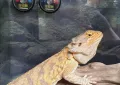 Миниатюра 7