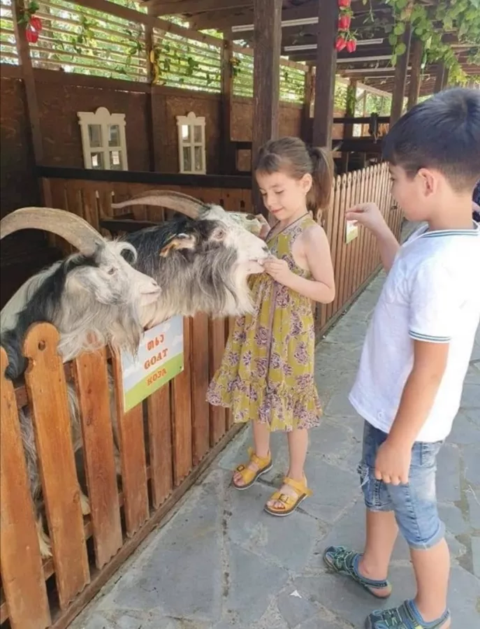 Контактный зоопарк Zooland (Zooland Petting ზოოპარკი) в Тбилиси: Зоопарк, Любимцы, Природа,