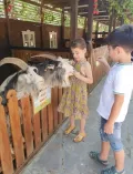 Миниатюра 9
