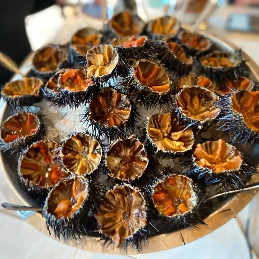 РесторанRistorante Terraferma в Милане: Рыбный ресторан , Свежая рыба , Сырая рыба , Подлинная еда , Фирменные блюда , Современный ресторан ,