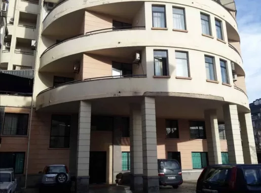 Научно-исследовательская организация "Rondeli Foundation, Georgian Foundation for Strategic and International Studies" (კვლევითი ორგანიზაცია "რონდელის ფონდი, საქართველოს სტრატეგიული და საერთაშორისო კვლევების ფონდი")