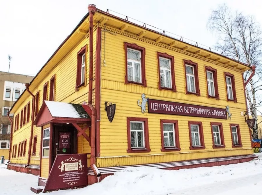 Ветеринарный центр Центральная ветеринарная клиника в Архангельске: Следить за здоровьем, Любимцы, Ветеринар,