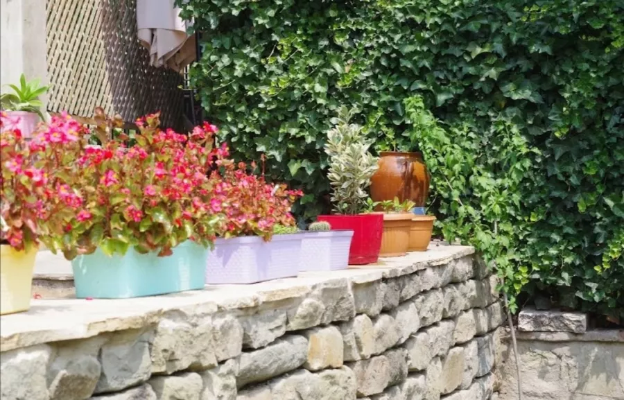 Ресторан Check-In Garden (რესტორანი Check-In Garden) в Тбилиси: Ресторан, Грузинская кухня, Еда,