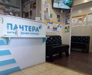 Ветеринарная клиника Пантера в Архангельске: Следить за здоровьем, Любимцы, Ветеринар,