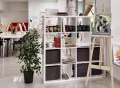 Миниатюра 6