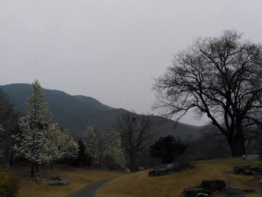 Парк Beijing Botanical Garden в Пекине: Парк, Сад,