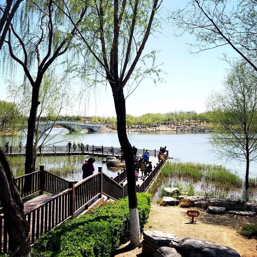 Заповедник Beijing Nanhaizi Elk Museum в Пекине: Зоопарк, Музей,