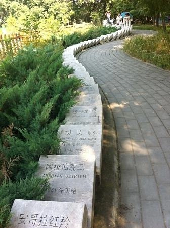 Заповедник Beijing Nanhaizi Elk Museum в Пекине: Зоопарк, Музей,