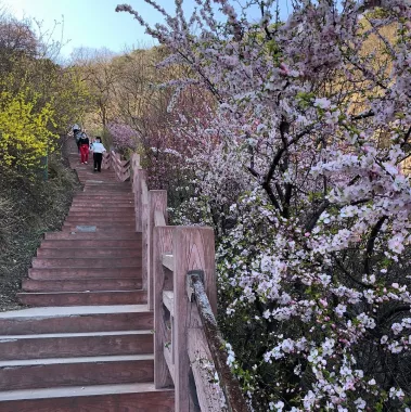 Парк «Fragrant Hills Park (Xiangshan Gongyuan)»