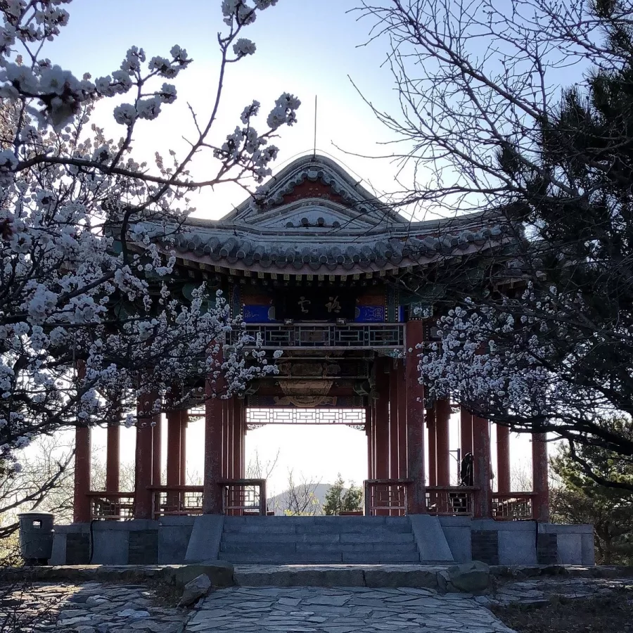 Парк Fragrant Hills Park (Xiangshan Gongyuan) в Пекине: Канатная дорога, Парк,