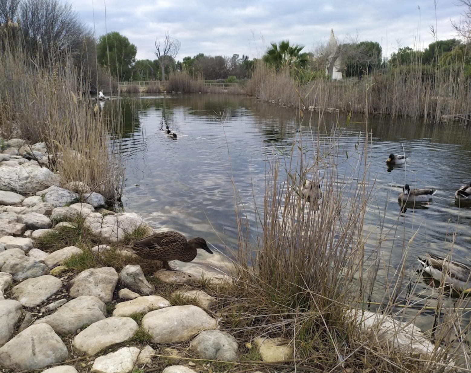 Парк "Bosque Ilustrado"