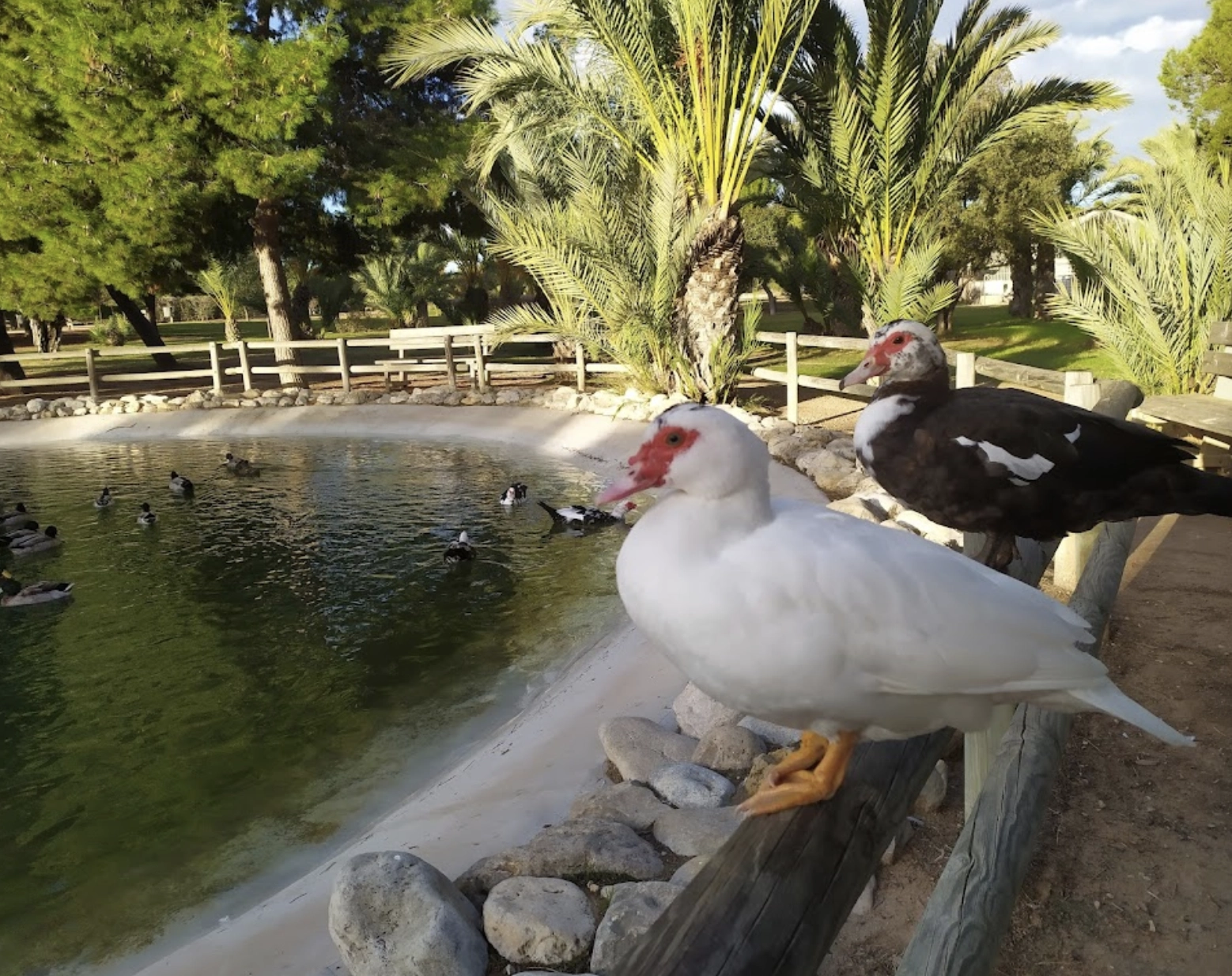 Парк "Bosque Ilustrado"