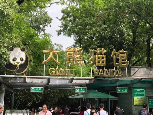Зоопарк «Beijing Zoo»