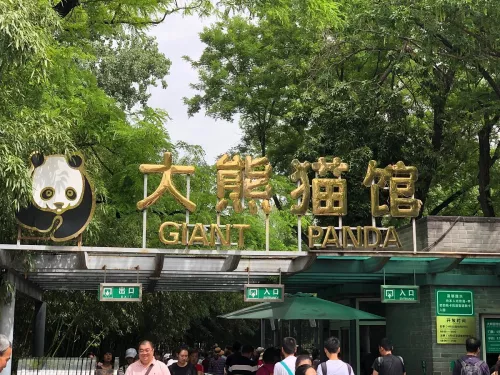 Зоопарк Beijing Zoo в Пекине