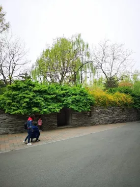 Зоопарк «Beijing Zoo»