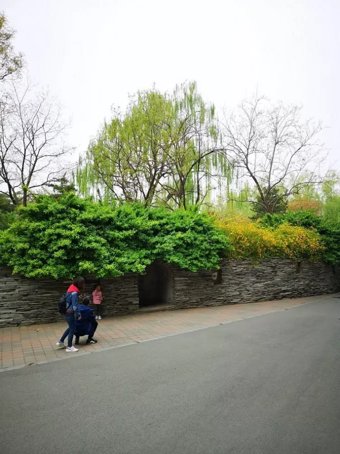 Зоопарк Beijing Zoo в Пекине: Зоопарк, Животные,