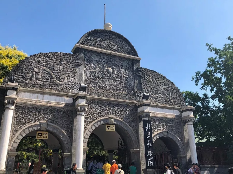 Зоопарк Beijing Zoo в Пекине: Зоопарк, Животные,