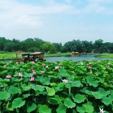 Парк «Old Summer Palace (Yuanmingyuan)»