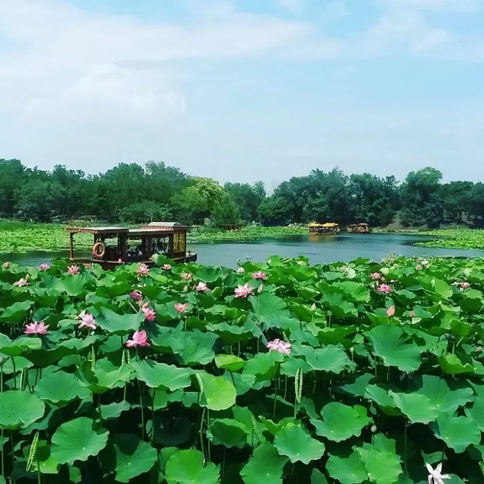 Парк Old Summer Palace (Yuanmingyuan) в Пекине