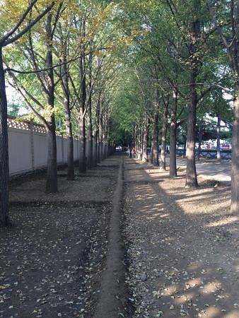 Пешеходные маршруты Diaoyutai Yinxing Avenue в Пекине: Велосипед, Прогулка, Отдых,