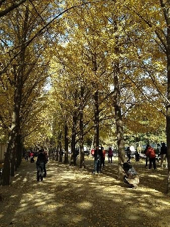 Пешеходные маршруты Diaoyutai Yinxing Avenue в Пекине: Велосипед, Прогулка, Отдых,