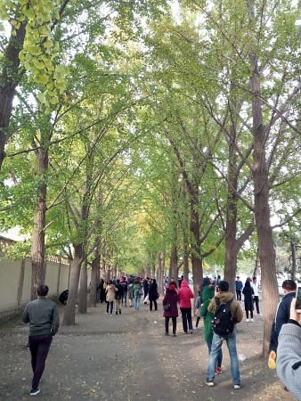Пешеходные маршруты Diaoyutai Yinxing Avenue в Пекине: Велосипед, Прогулка, Отдых,