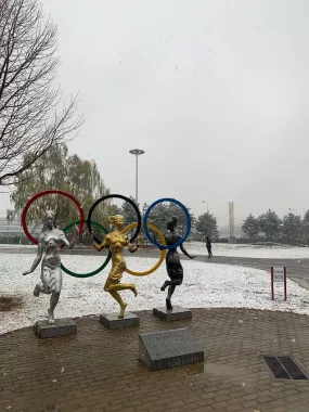 Парк «Olympic Forest Park»