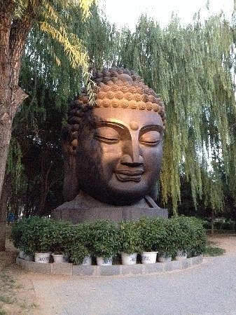 Музей Han Meilin Art Museum в Пекине: Музей искусств, Выставка,