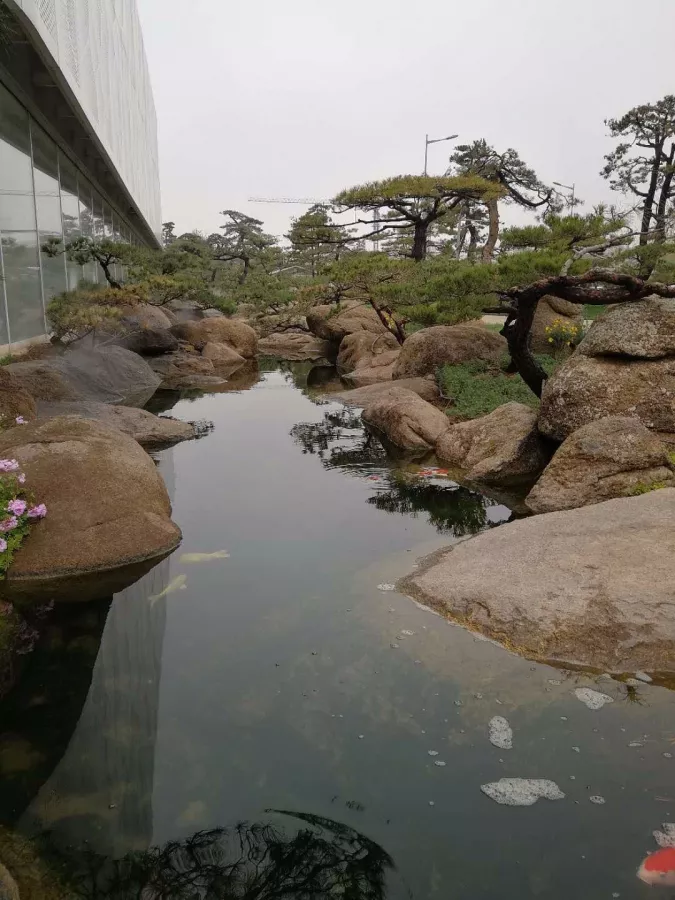 Музей Luo Hong Art Museum в Пекине: Музей, Выставка,