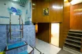 Миниатюра 7