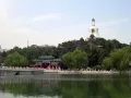 Миниатюра 5
