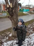 Миниатюра 5
