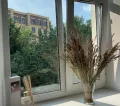 Миниатюра 4