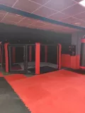 Миниатюра 4